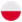 Polish icon