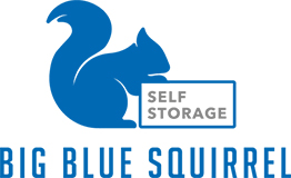 Big Blue Squirrel logo
