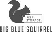Big Blue Squirrel logo