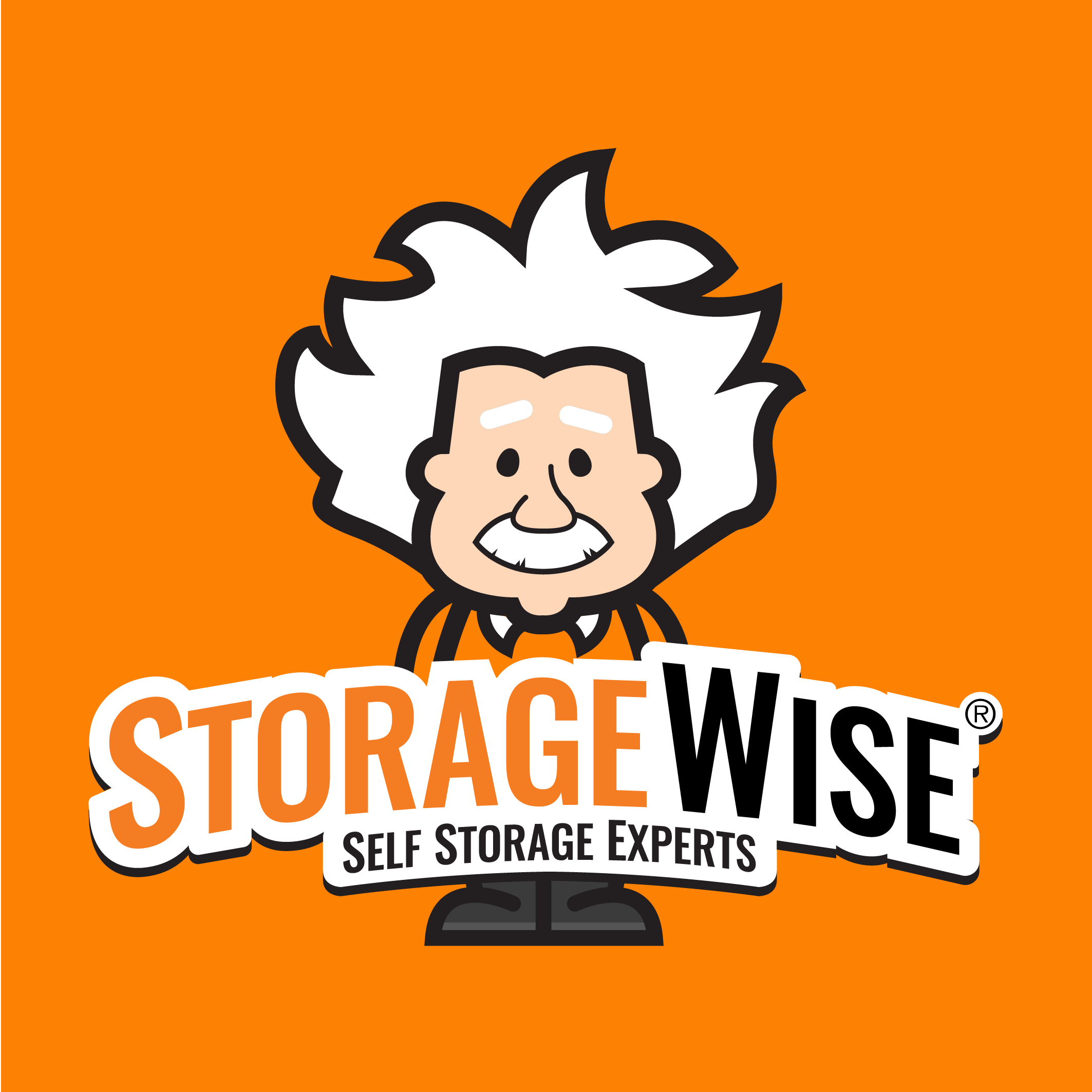 StorageWise logo